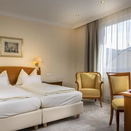 Vergeiner's Traube מלון