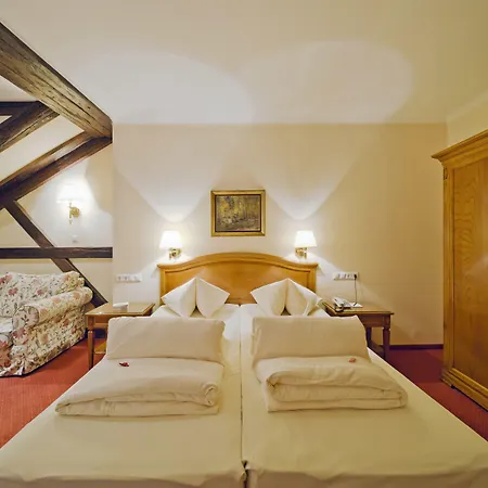 Vergeiner's Traube 4* לינץ