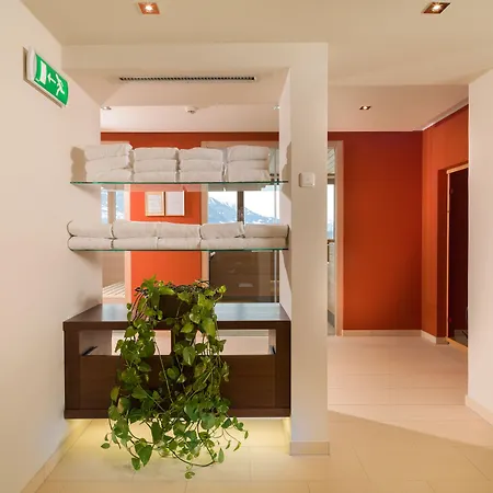 Vergeiner's Traube 4* לינץ