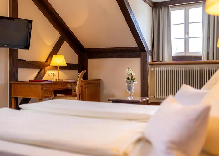 Vergeiner's Traube 4*