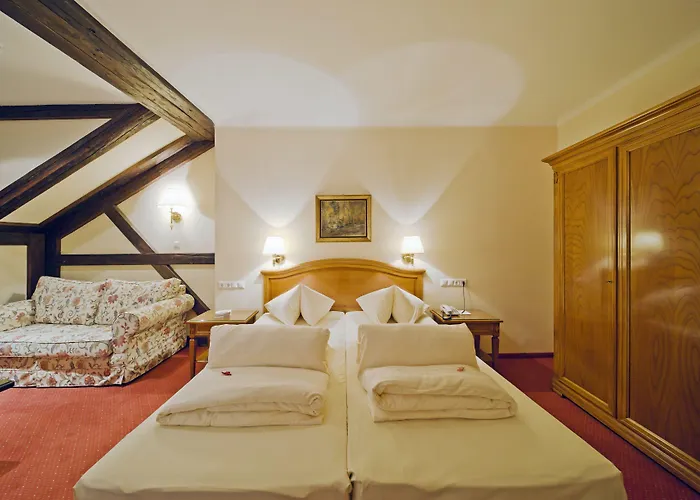 Vergeiner's Traube 4* لينز