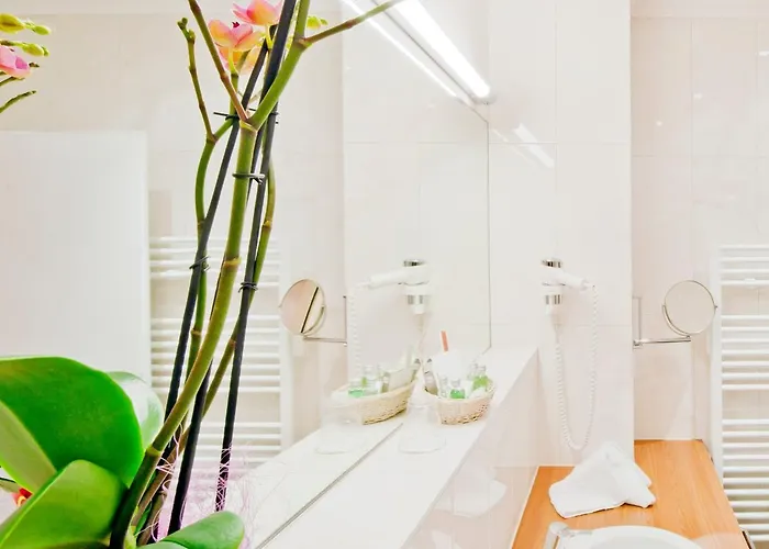 Vergeiner's Traube 4*