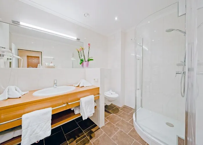 Vergeiner's Traube فندق 4*