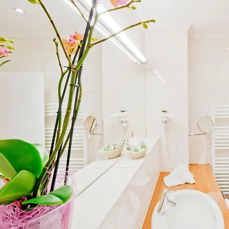 沃吉内尔特劳贝酒店 4*