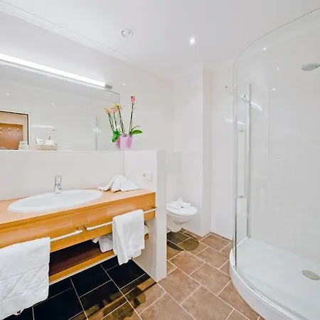 Vergeiner's Traube Hotel 4*
