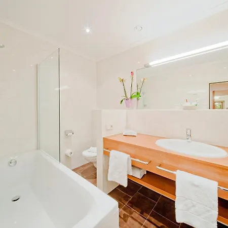 Vergeiner's Traube 4* 리엔츠