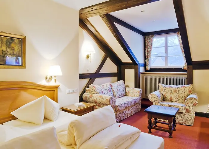 フェルゲナーズ トラウベ 4*